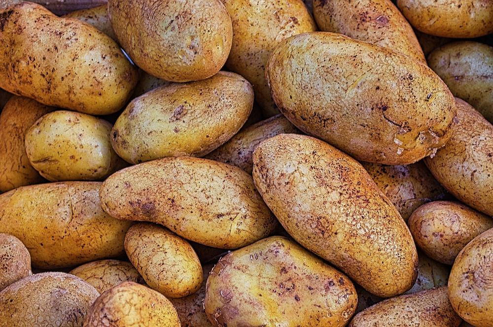 Carb foods