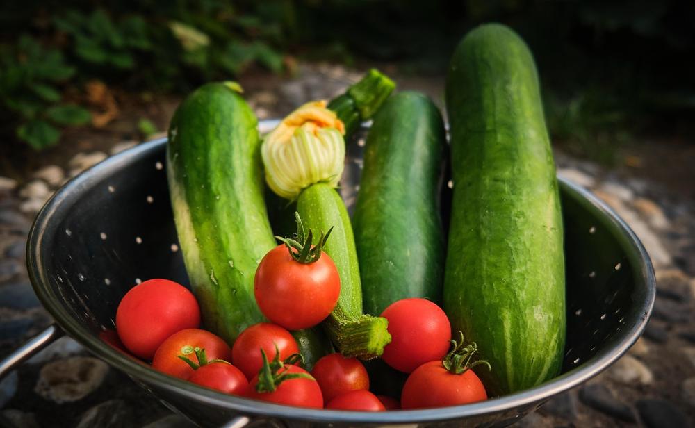 Fresh zucchini-000b058542a84d9285cb47b5d320391d.jpg Fresh zucchini