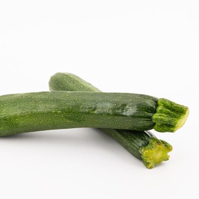 Fresh-zucchini-31b7017e0b9b4633a6f6e36d16f45048