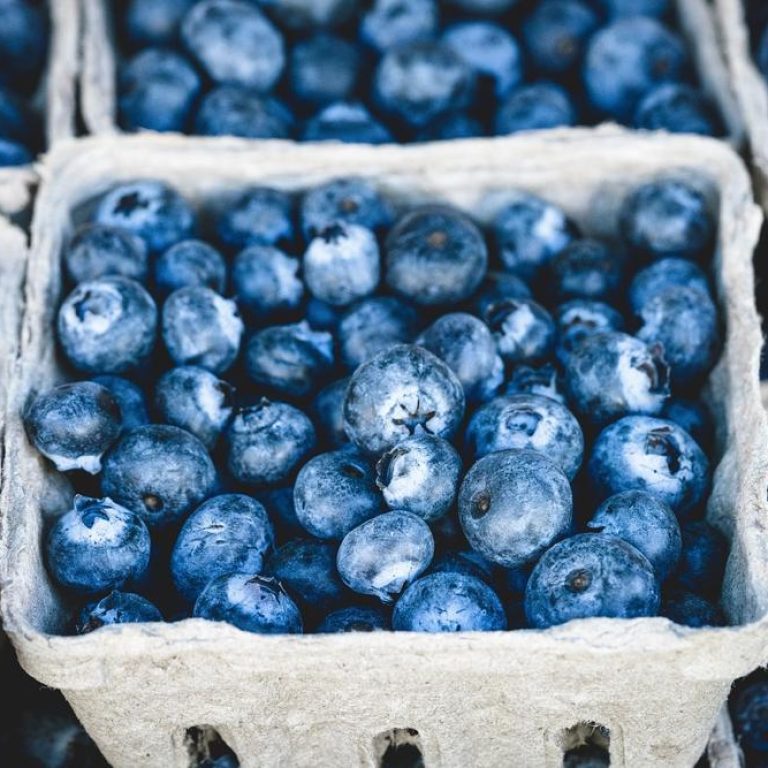fresh-produce-01837b55bce94320aca52bee370733bc