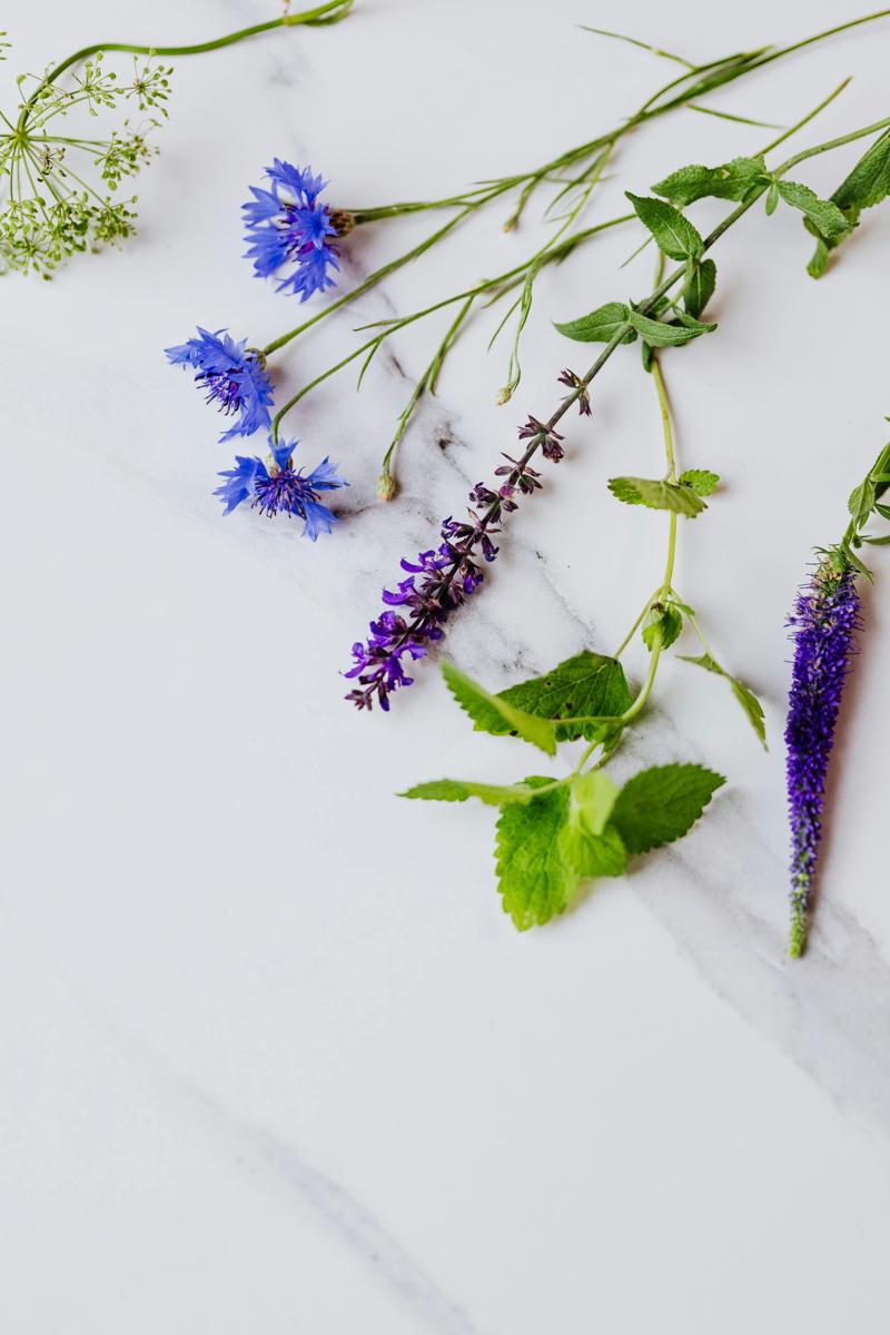 fresh herbs-c469ea5394de4f67936899947acb9ff9.jpg fresh herbs